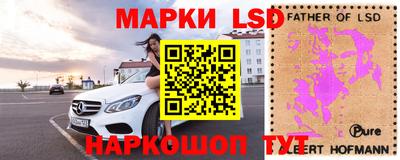 МДПВ Новозыбков