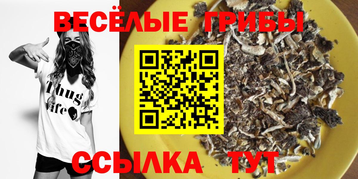 Псилоцибиновые грибы Psilocybine cubensis Рыбинск