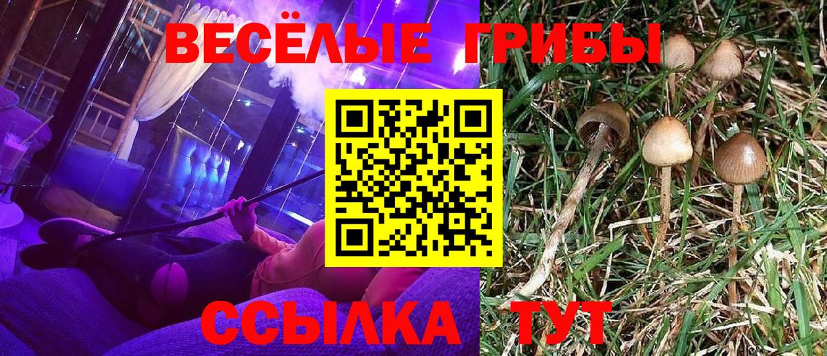 Рыбинск  Псилоцибиновые грибы GOLDEN TEACHER  Вход с VPN 